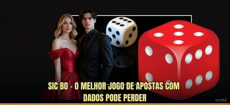 Estatísticas do Jogo winmi